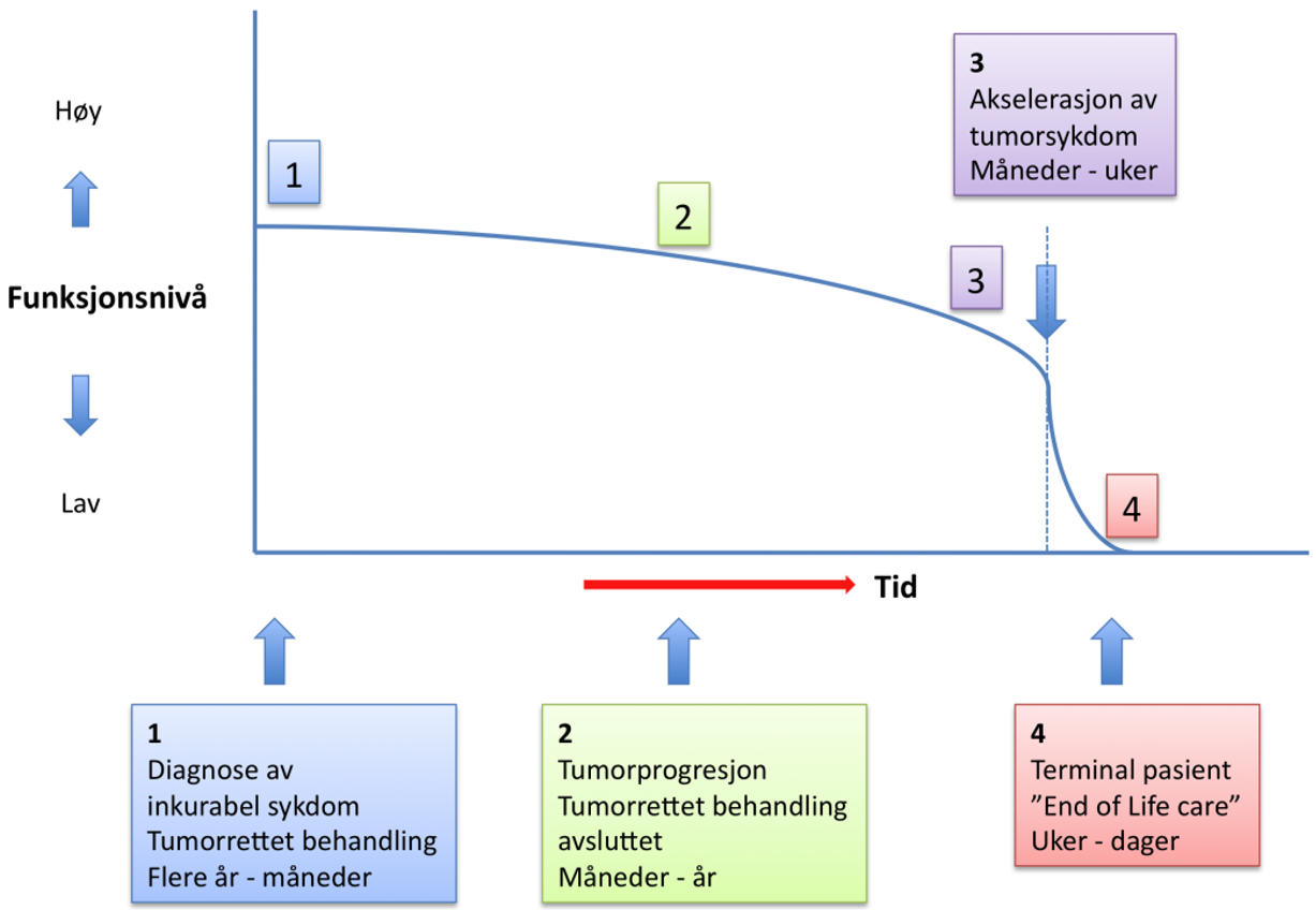 Tykk og endetarmskreft - Sykdomsforløp og behandlingsalternativer hos pasienter med uhelbredelig kreft.png