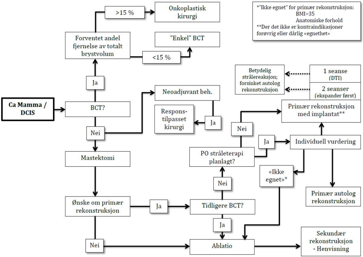 Figur 5.2: Flytskjema for brystkirurgiske alternativ ved brystkreft og/eller DCIS