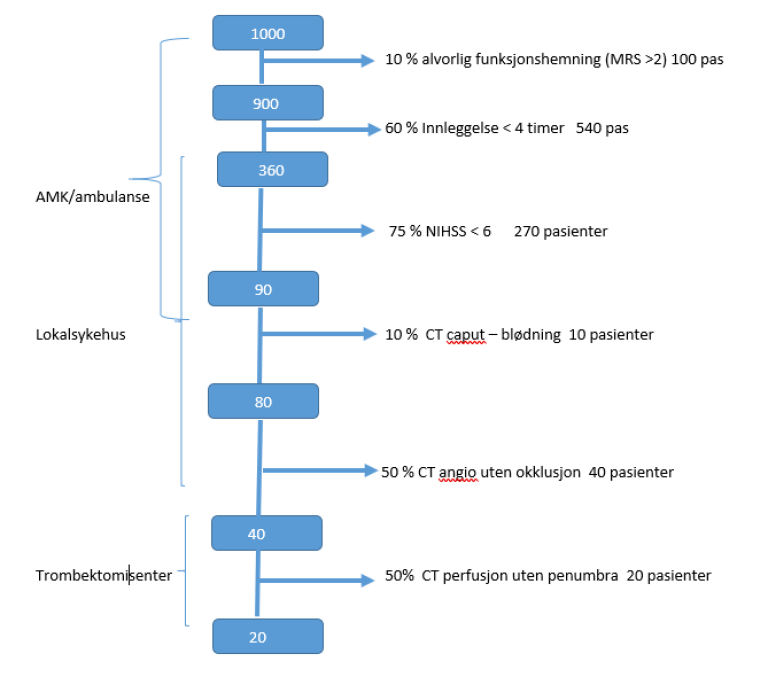 flytskjema antall trombektomi.png