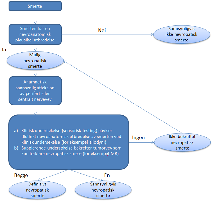 Flytskjema for å kartlegge forekomst av nevropatisk smerte .png