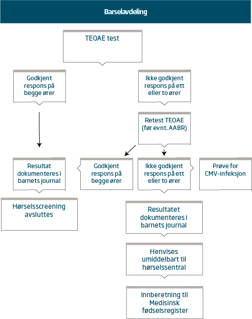 flytskjema-horselscreening-nyfodte-barselavdeling.png