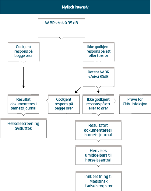 flytskjema-horselscreening-nyfodte-nyfodtintensivavdeling.png