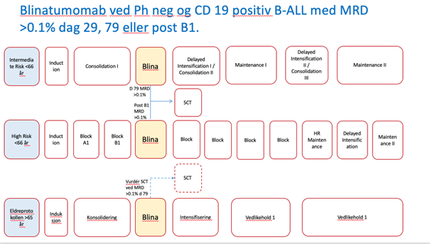 Behandlingsoversikt for bruk av blinatumomab