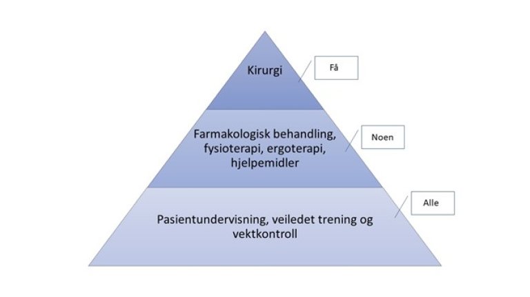 Pyramide som illustrerer at undervisning, trening og vektkontroll er grunnbehandling for alle. Noen må supplere med legemidler, fysioterapi, ergoterapi og hjelpemidler, og få personer kan likevel trenge kirurgi.