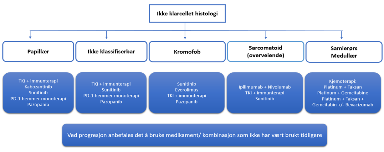 Figur 9.4: Behandlingsvalg ved ikke-klarcellet histologi