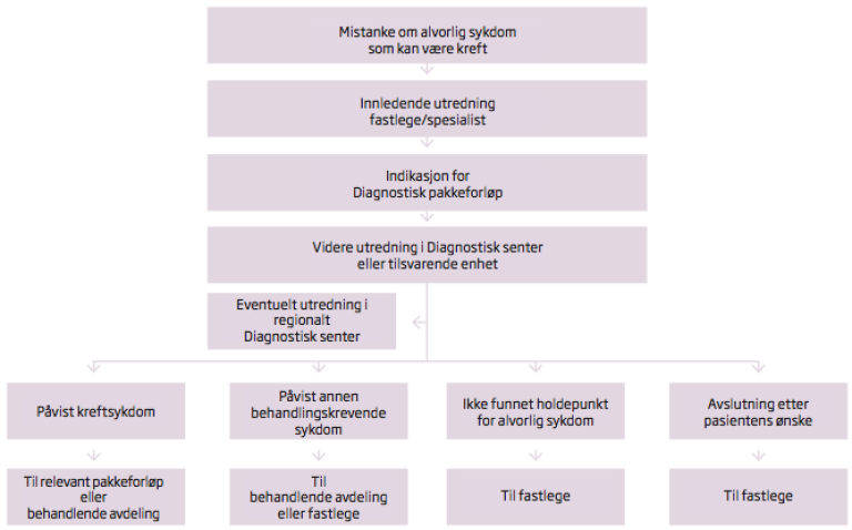 Diagnostisk pakkeforløp flytskjema