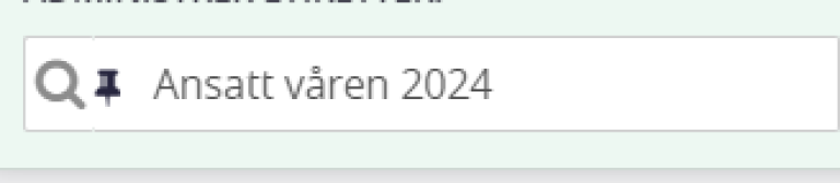 Skjermbilde av tekst: Ansatt våren 2024