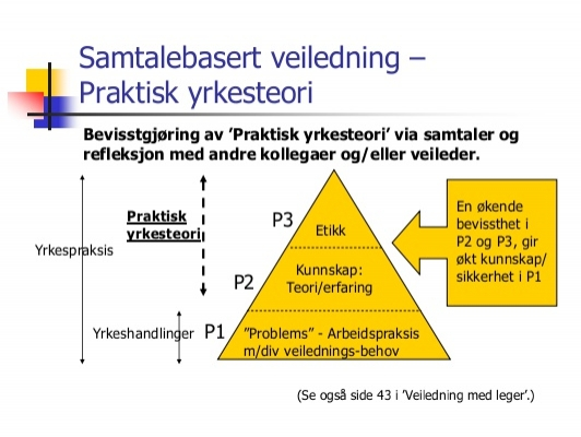 Praksistrekanten Helsedirektoratet