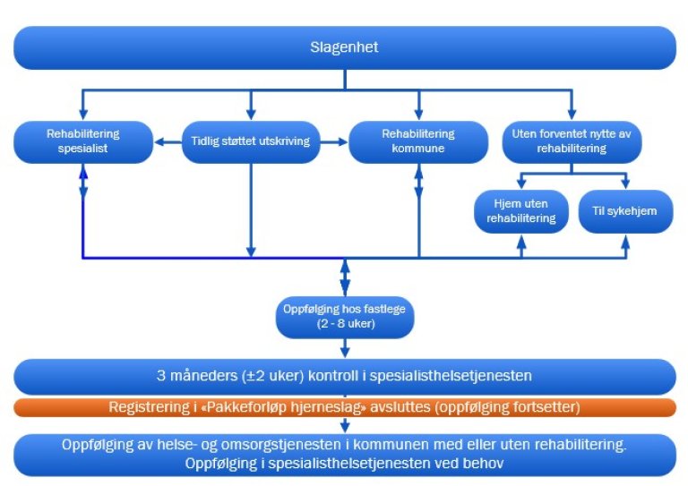 Viser gangen i forløpet fra slagenhet til oppfølging og eventuell rehabilitering.