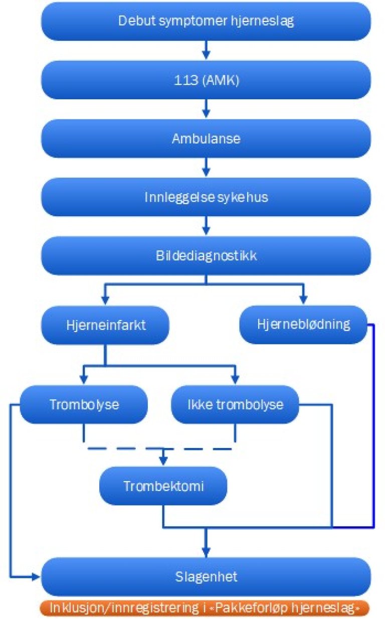 Figuren beskriver akuttfasen ved hjerneslag fra symptomer via AMK og amnbulanse til innleggelse, diagostikk og behandling.