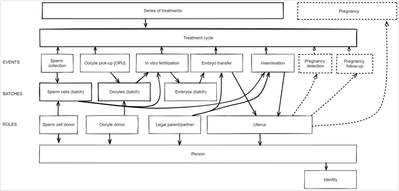 Modellen viser hvordan data om assistert befruktning struktureres. Det er en skjematisk oversikt med såkalte svømmebaner som representerer hendelser i et forløp, hva slags biologisk materiale som er involvert – altså, egg, sæd og befruktede egg, og aktørene – som kan være en sæddonor, en eggdonor og en partner til kvinnen som skal bære fram barnet. Figuren gir også et inntrykk av &nbsp;hvordan data om fra de ulike hendelsene flyter gjennom prosessen og henger sammen.