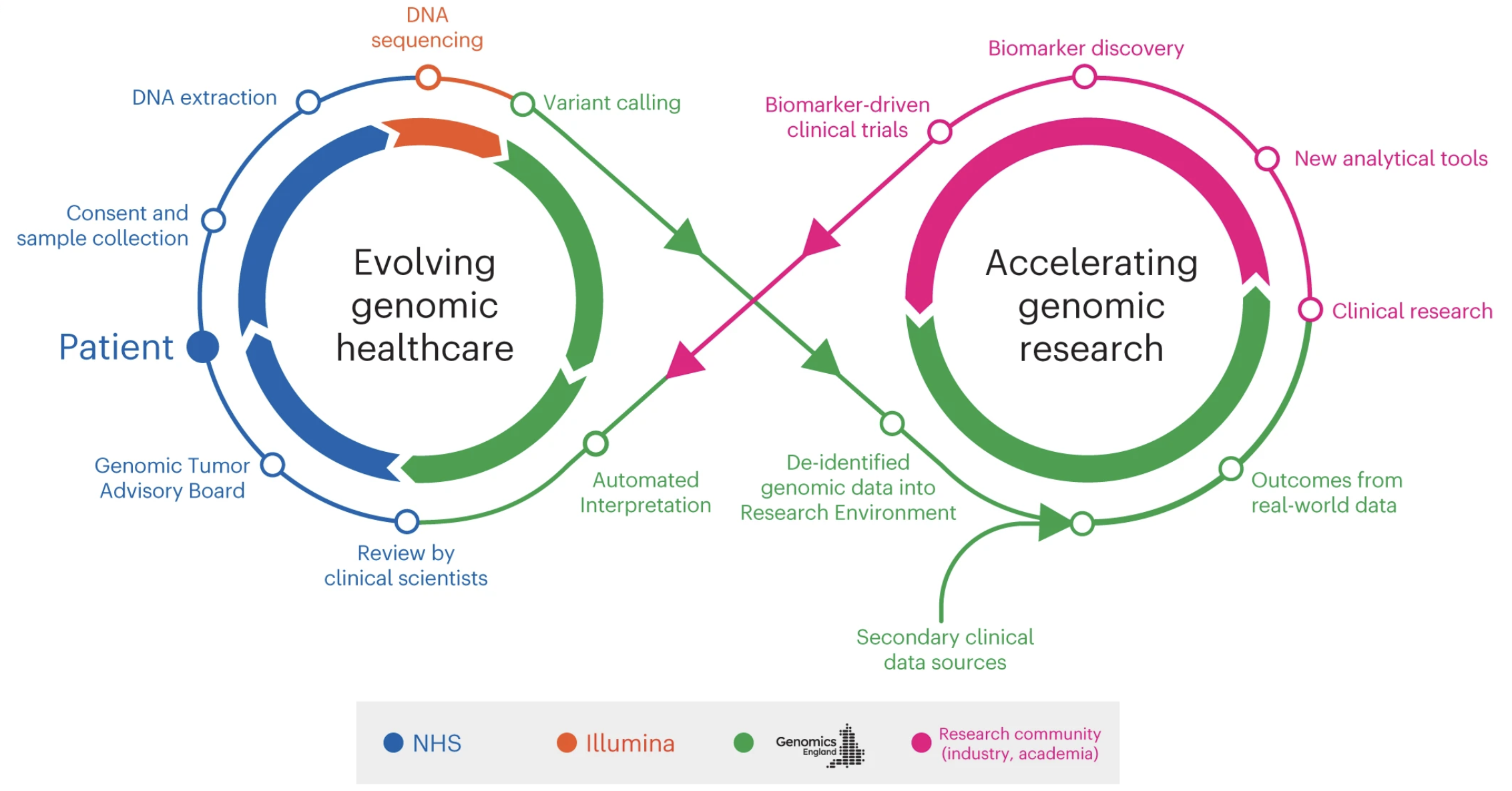 Illustrasjonen viser prinsippet bak konseptet "infinitiy loop", som er automatisert og gjensidige utvikling av genombasert helsehjelp og forskning. Eksempelet er hentet fra kreftområdet.  Til venstre er en sirkel av piler som viser trinnene i utviklingen av genombaserte helsetjenester: Genomics England tolker genomdata automatisk og leverer resultatet til National Health Service (NHS). NHS gjennomfører deretter fire trinn: Medisinske forskere går gjennom tolkningen. Vurdering i et "genomic Tumor Advisory Board". Pasientsamtykke og blodprøvetaking for DNA-undersøkelse. Uttrekk av DNA. Illumina utfører deretter DNA-sekvensering. Siste trinn i helsehjelp-sirkelen er variant calling gjennomført av Genomics England.  Fra dette punktet peker pilen videre til høyre, der en ny sirkel viser trinnene som akselererer genomforskning: Genomics England legger avidentifiserte DNA-data inn i et forskningsmiljø, og dataene kobles til sekundære kliniske datakilder. Opplysninger om hvordan det gikk med pasienten legges til. Forskningsmiljøene overtar og gjennomfører klinisk forskning, utvikler nye analytiske verktøy, identifiserer nye biomarkører og gjennomfører biomarkør-drevet klinisk forskning. Resultatet av forskningen går tilbake til sirkelen for genombaserte helsetjenester, og dermed er løkken sluttet.