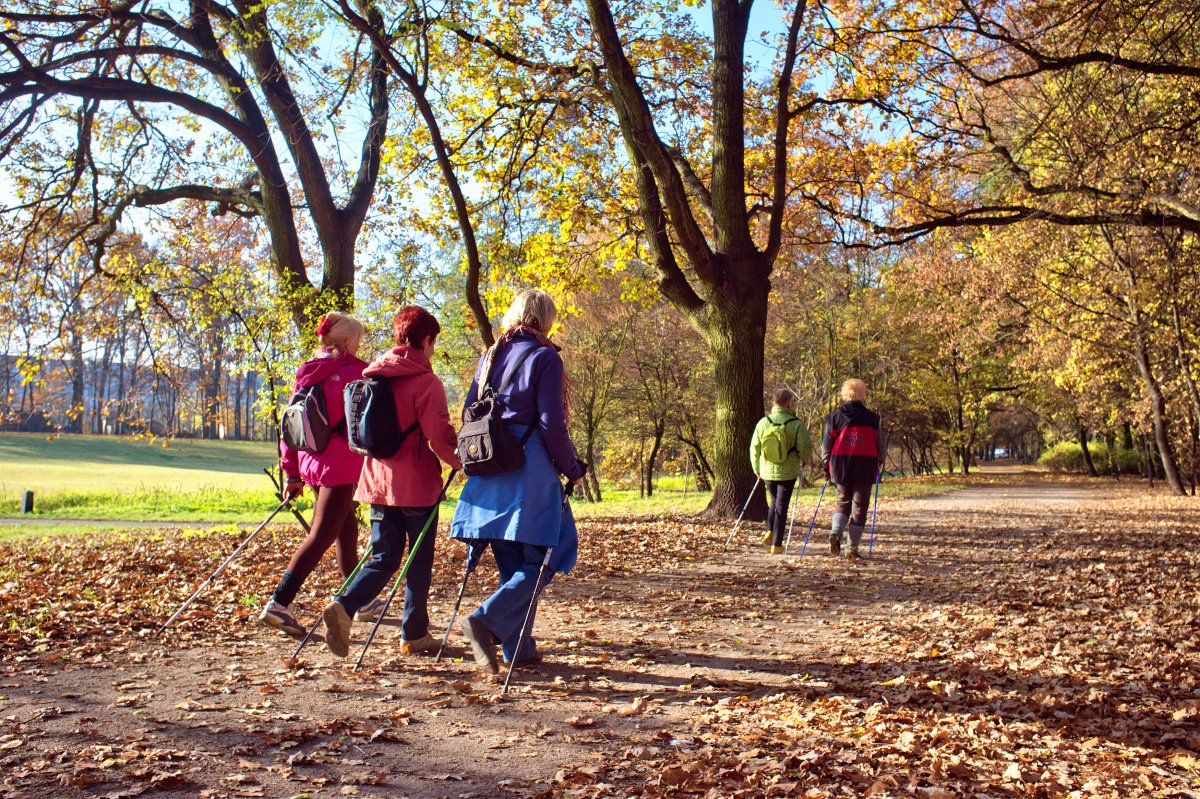 Illustrasjonsfoto: folk går tur i parken