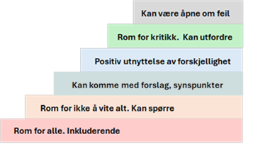 Modell med trinn fra pasient- og brukerundersøkelse