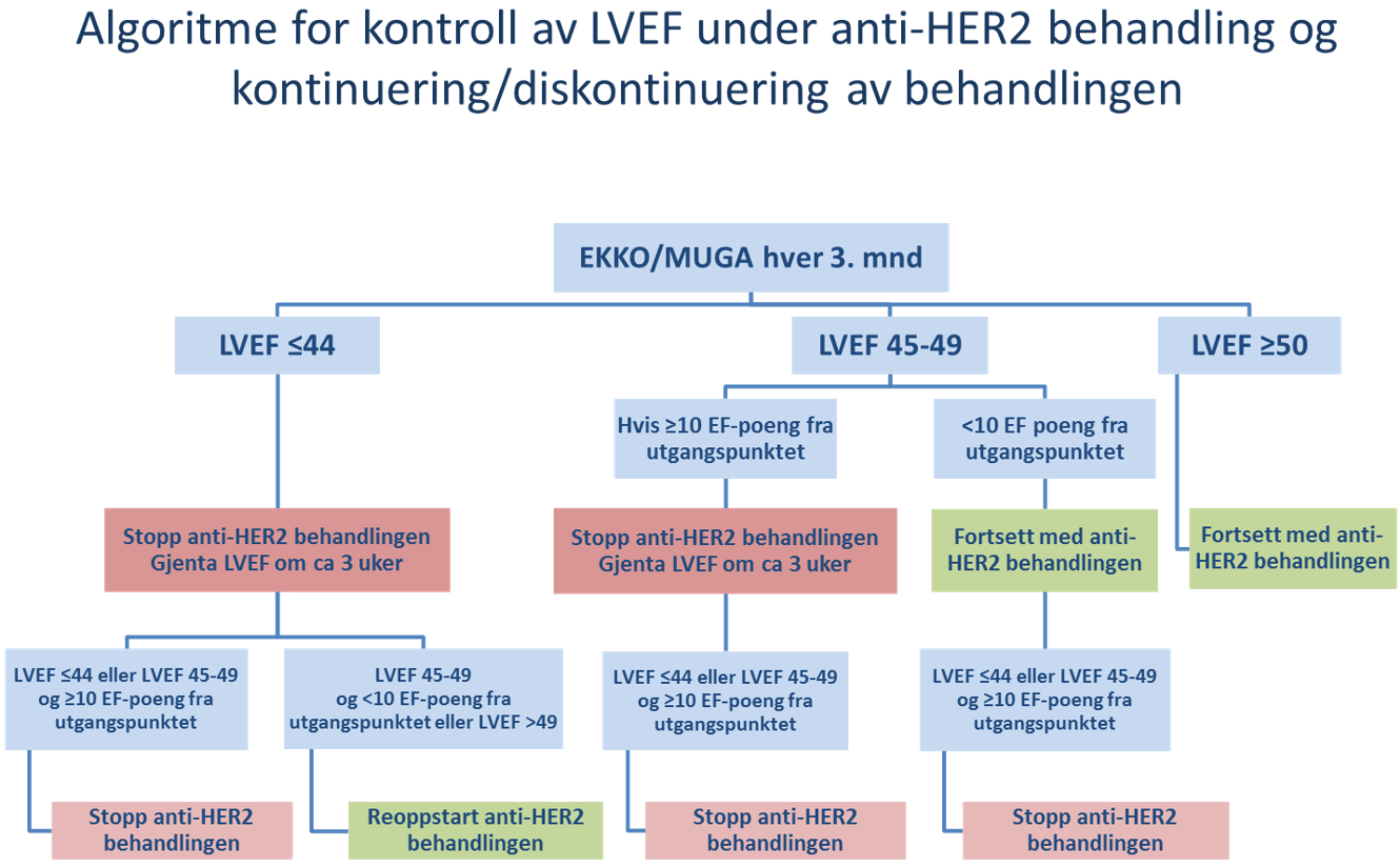 Algoritme for kontroll av LVEF under anti-HER2-behandling og kontinuering/diskontinuering av behandlingen