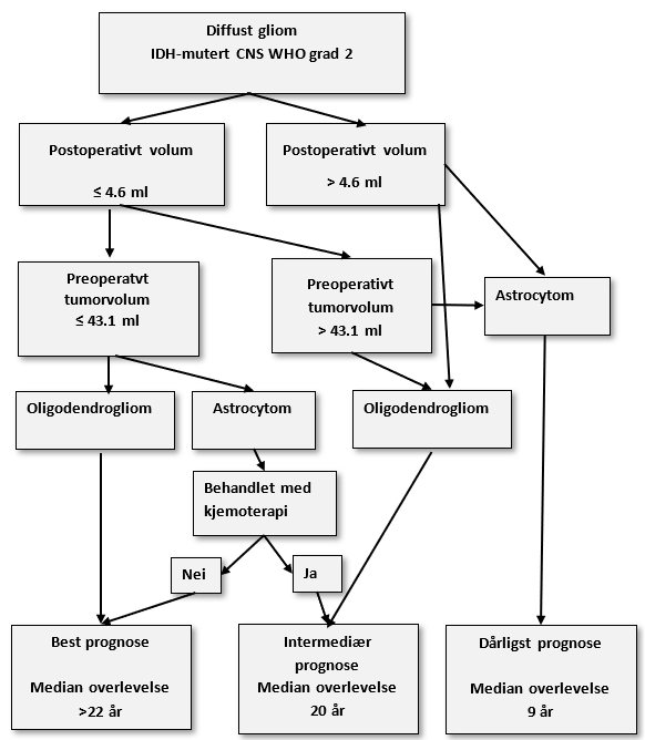 Flytskjema. Tre prognostiske grupper basert på preoperativt volum, postoperativt volum, diagnose (astrocytom vs. oligodendrogliom) og kjemoterapi