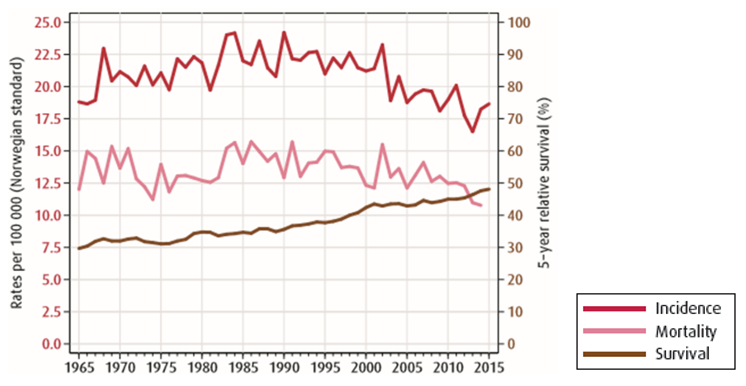 Figur 3.1: 5 års overlevelse (2015–2019) er 50,3 %, og mortaliteten (2016–2018) er 17,2 % .