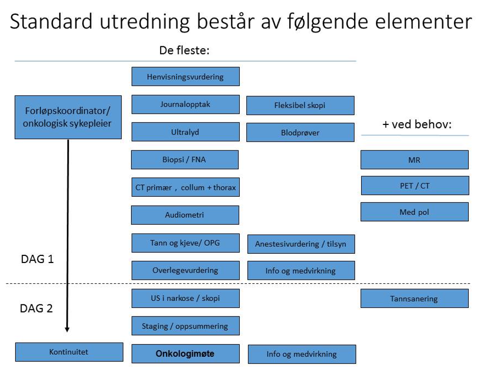 Figur 7.1: De vanligste trinnene i utredningsforløpet for plateepitelkarcinom i hode-hals. Dette tilpasses for den aktuelle primærtumorlokalisasjon og hva som er relevant for den enkelte pasient.