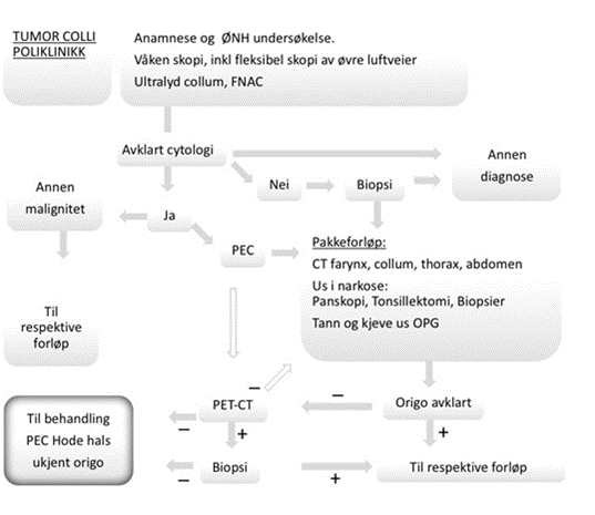 Figur 21.1: Flytdiagram over utredning