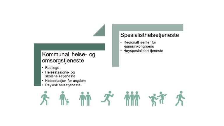 Kjønnsinkongruens - Overordnet organisering av helsetjenestetilbudet.JPG