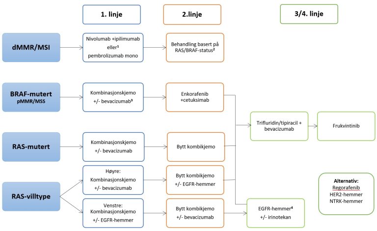 Medikamentell behandlingsalgoritme ved metastatisk kolorektal cancer