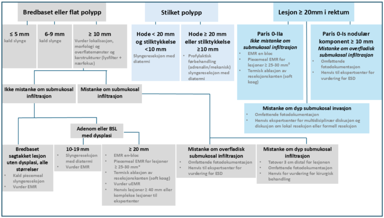 Figur 6.3: Algoritme polyppektomi, tilpasset etter Ferlitsch et al. (2024). Copyright 2024 Thieme. *Det norske miljøet anbefaler en bloc reseksjon fremfor piecemeal reseksjon. ESD kan i noen tilfeller være et alternativ.  ◊ En bloc reseksjon ansees som et bedre alternativ og bør tilstrebes 