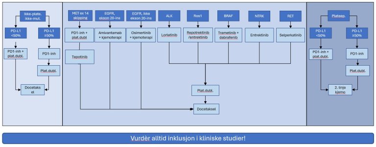 Figur 19: Behandlingsalgoritme for medikamentell behandling av avansert ikke-småcellet lungekreft.