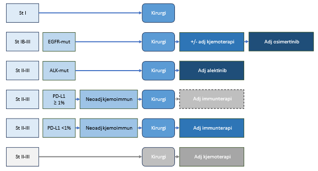 Figur 13: Skjematisk oversikt over behandling av pasienter i stadium I-III som er aktuelle for kirurgi og tilleggsbehandling. Grå bokser viser behandlingsmulighet om neoadjuvant kjemoimmunterapi ikke velges. Ved PD-L1-positiv tumor stadium II-III er tillegg av adjuvant immunterapi neppe nødvendig, mens dette bør vurderes ved PD-L1-negativ sykdom. Adjuvant osimertinib kan være aktuelt også hos pasienter som ikke har mottatt adjuvant kjemoterapi. Se også Tabell 14.