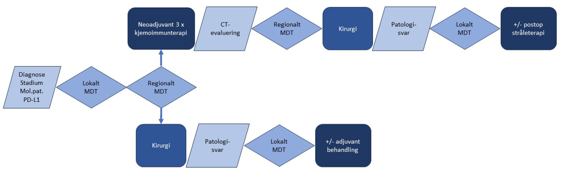 Figur 16 Oversikt over forløp ved valg av neoadjuvant eller adjuvant behandling