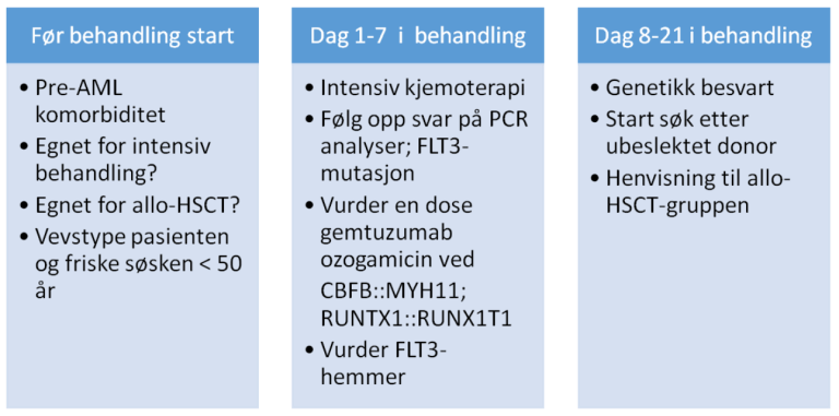 Flytskjema 4.1. Huskeliste