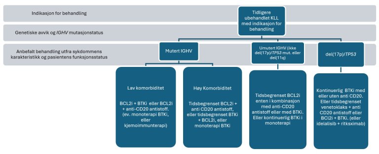 Anbefalinger førstelinjebehandling – flytskjema