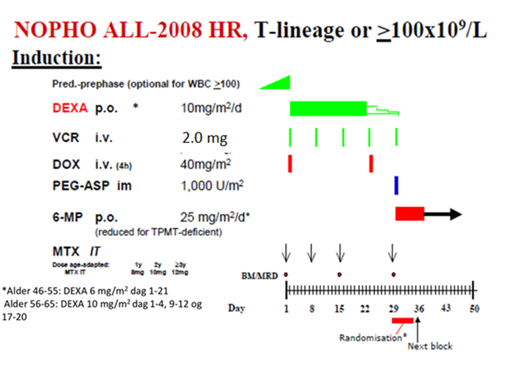 Profylakser: Allopurinol 300 mgx2 uke 1, Flukonazo 100–200 mgx1, Valtrex 250 mgx2,  Bactrim 1 tblx1