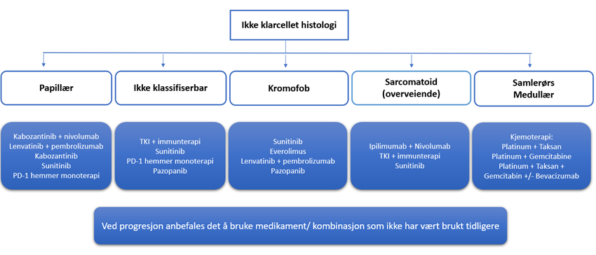 Figur 9.4: Behandlingsvalg ved ikke-klarcellet histologi. Egenprodusert. 