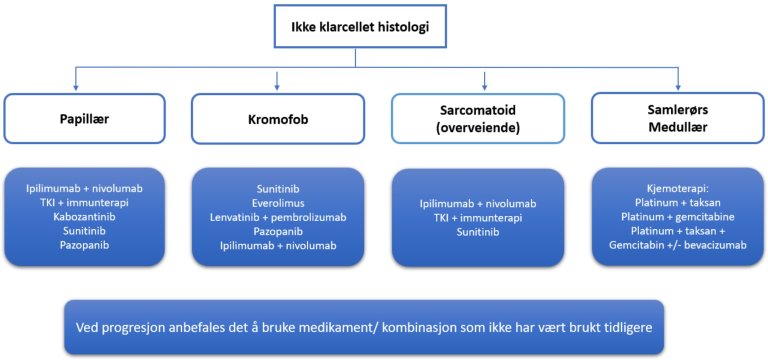 Figur 9.4: Behandlingsvalg ved ikke-klarcellet histologi. Egenprodusert. Rekkefølgen på medikamentene er vilkårlig.
