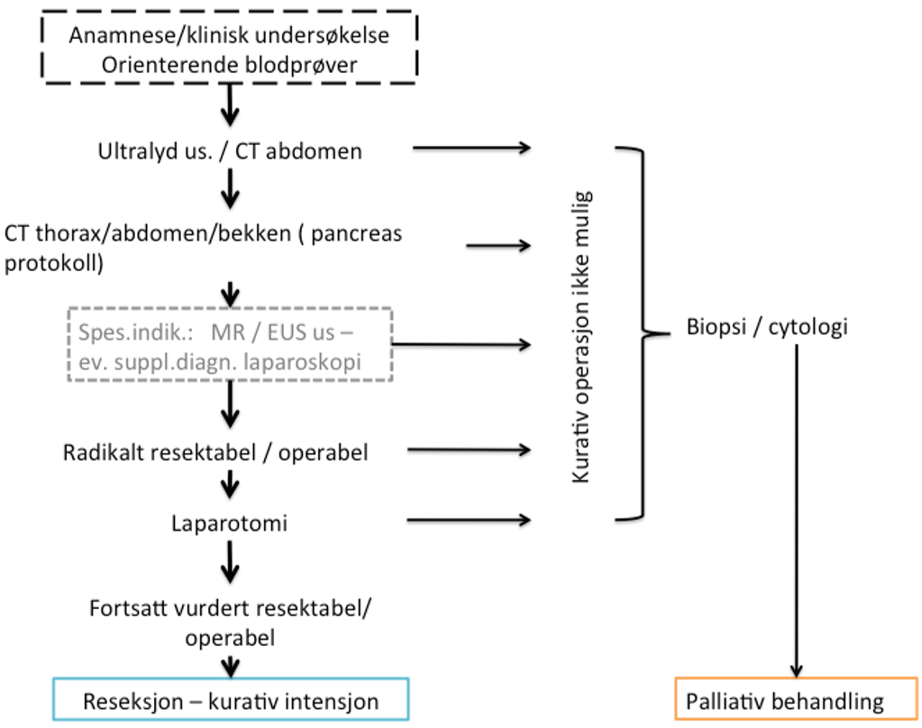 Pancreaskreft - Utredningsalgoritme ved pancreaskreft.png