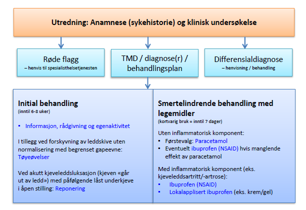 trinn1-utredning-anamnese-og-klinisk-undersøkelse.png