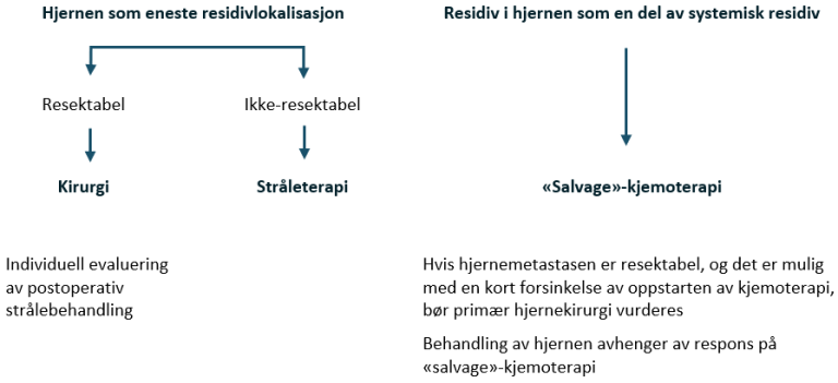 Flytskjema - Hjernemetastaser ved residiv etter CR.png