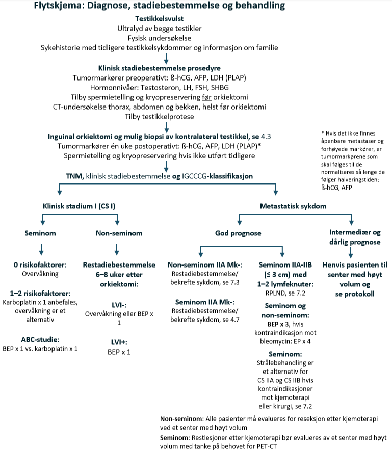 Testikkelkreft - flytskjema