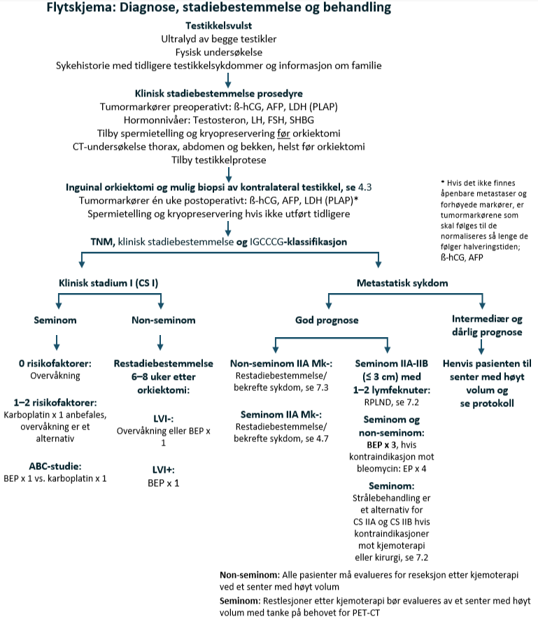Testikkelkreft - flytskjema.png