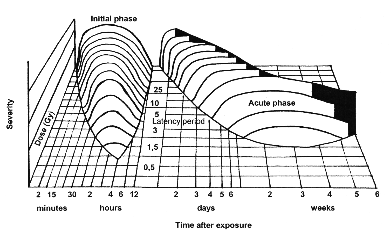 Figur som viser de ulike fasene av akutt strålesykdom.