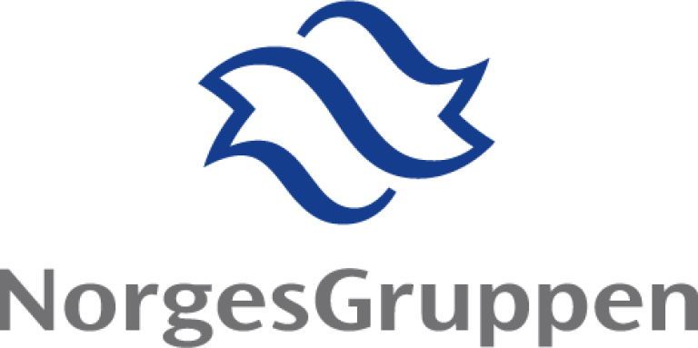 NorgesGruppen logo.png