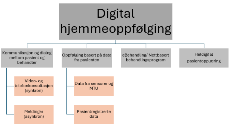 Skjematiske framstilling av digital hjemmeoppfølging