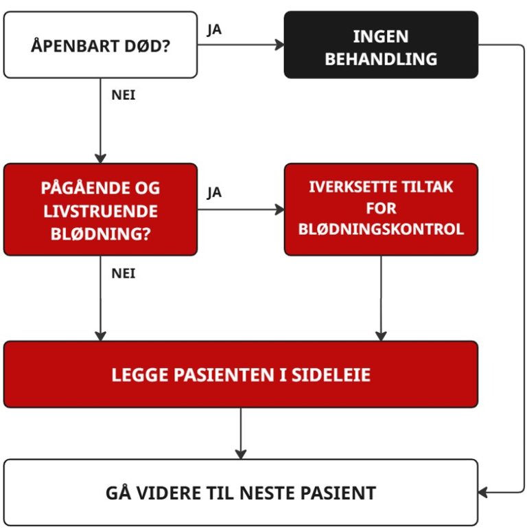 Flytskjema for masseskadetriage